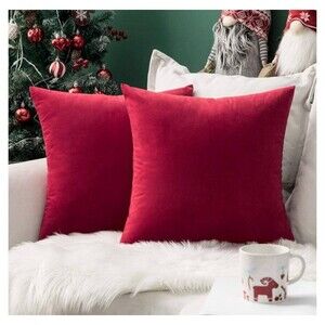 Pack of 2 Velvet Pillow Covers 22”x22”